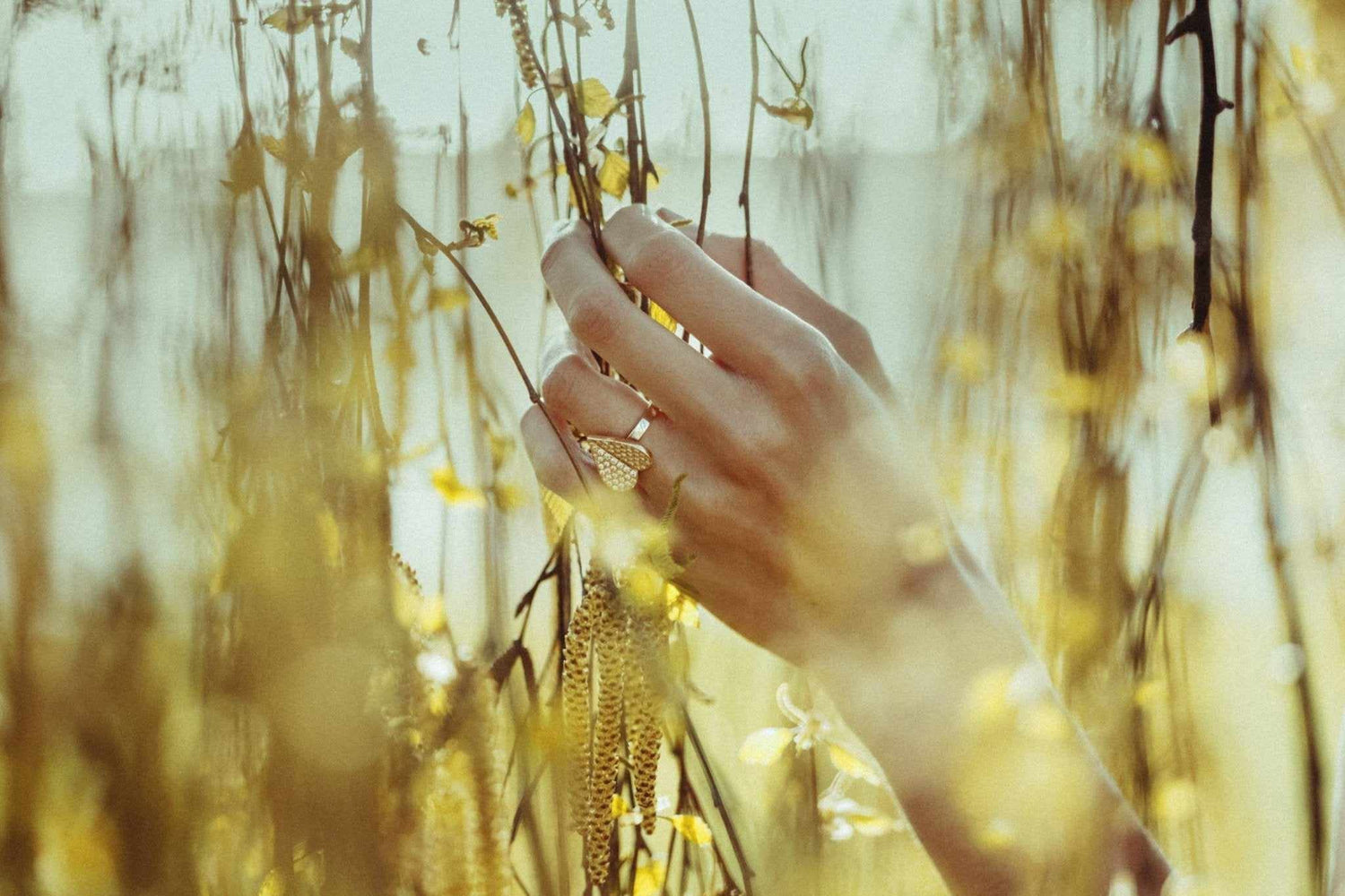 Different Types of Rings and Their Meanings-Hanno Stockholm