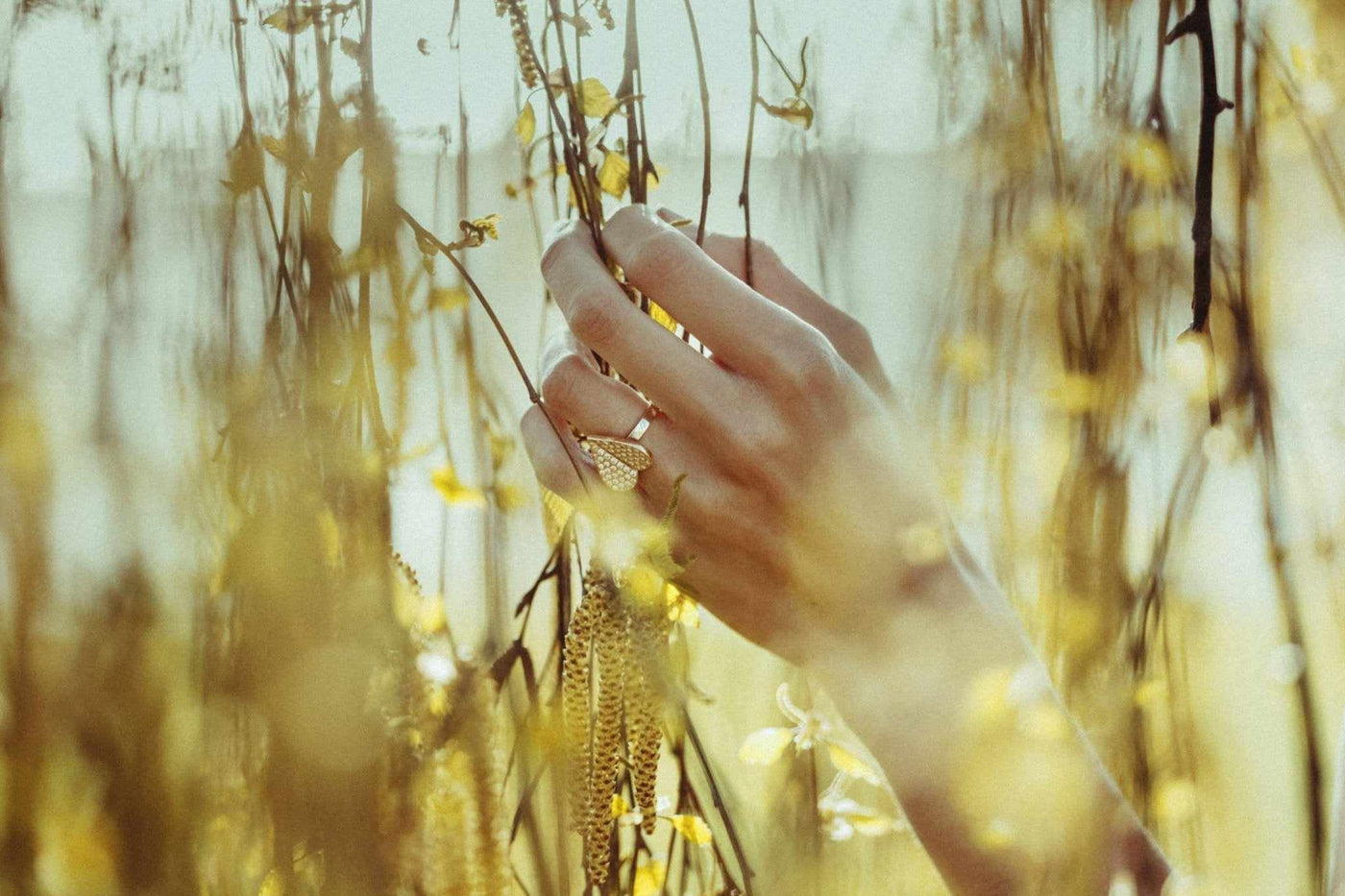 Different Types of Rings and Their Meanings