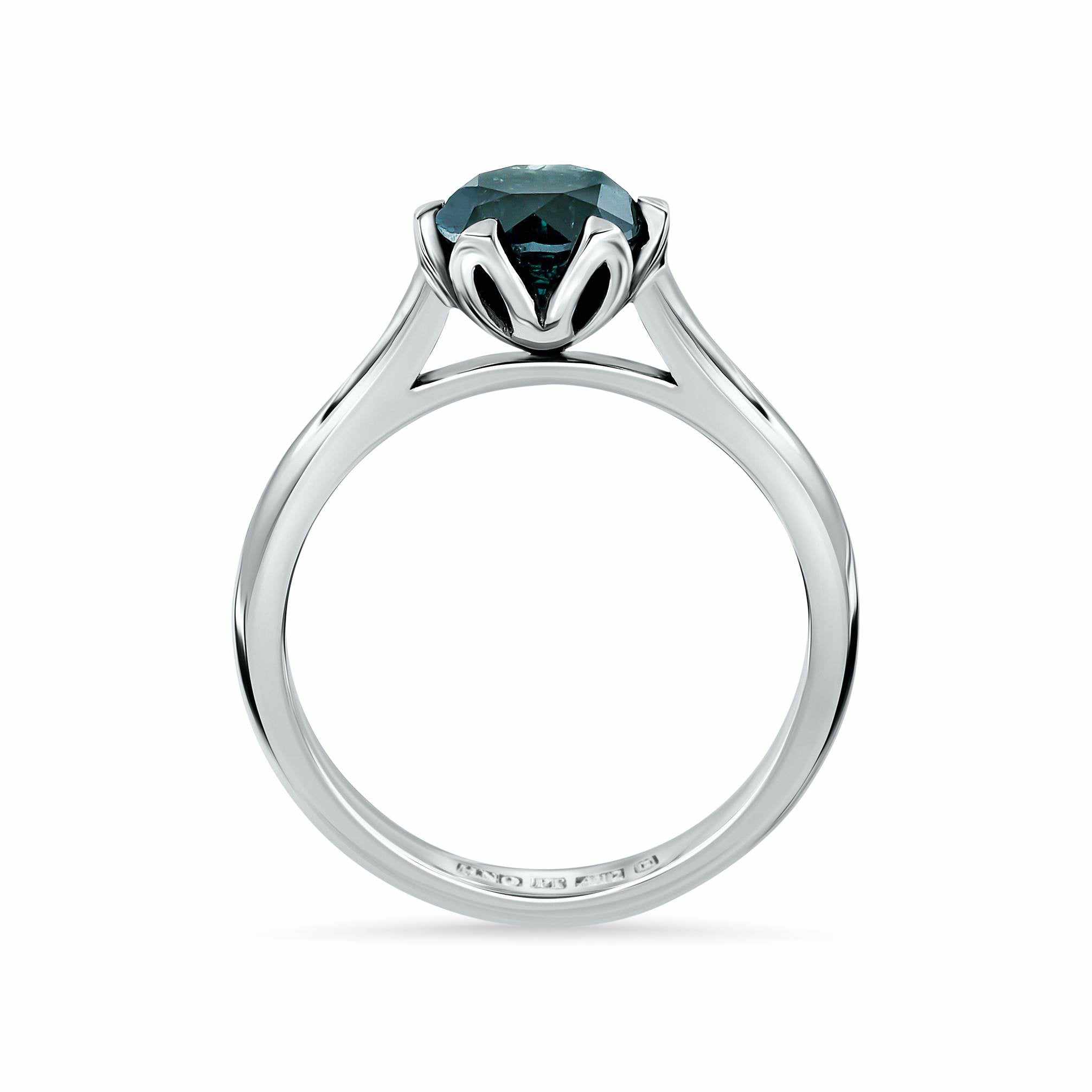 Earth-Ring-Hanno Stockholm